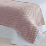 LINDES Color ROSE