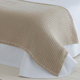 LINDES Color LINO