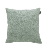 DUNIA Color MENTA