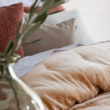 DETROIT Color MAQUILLAJE