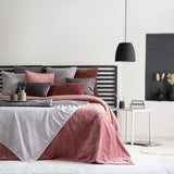 DETROIT Color CALDERA