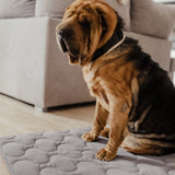 COLCHONETA Color GRIS