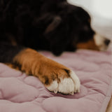 COLCHONETA Color MALVA