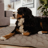 COLCHONETA Color MARRON