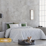 AMELIA Color GRIS