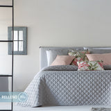 DARWIN Color GRIS